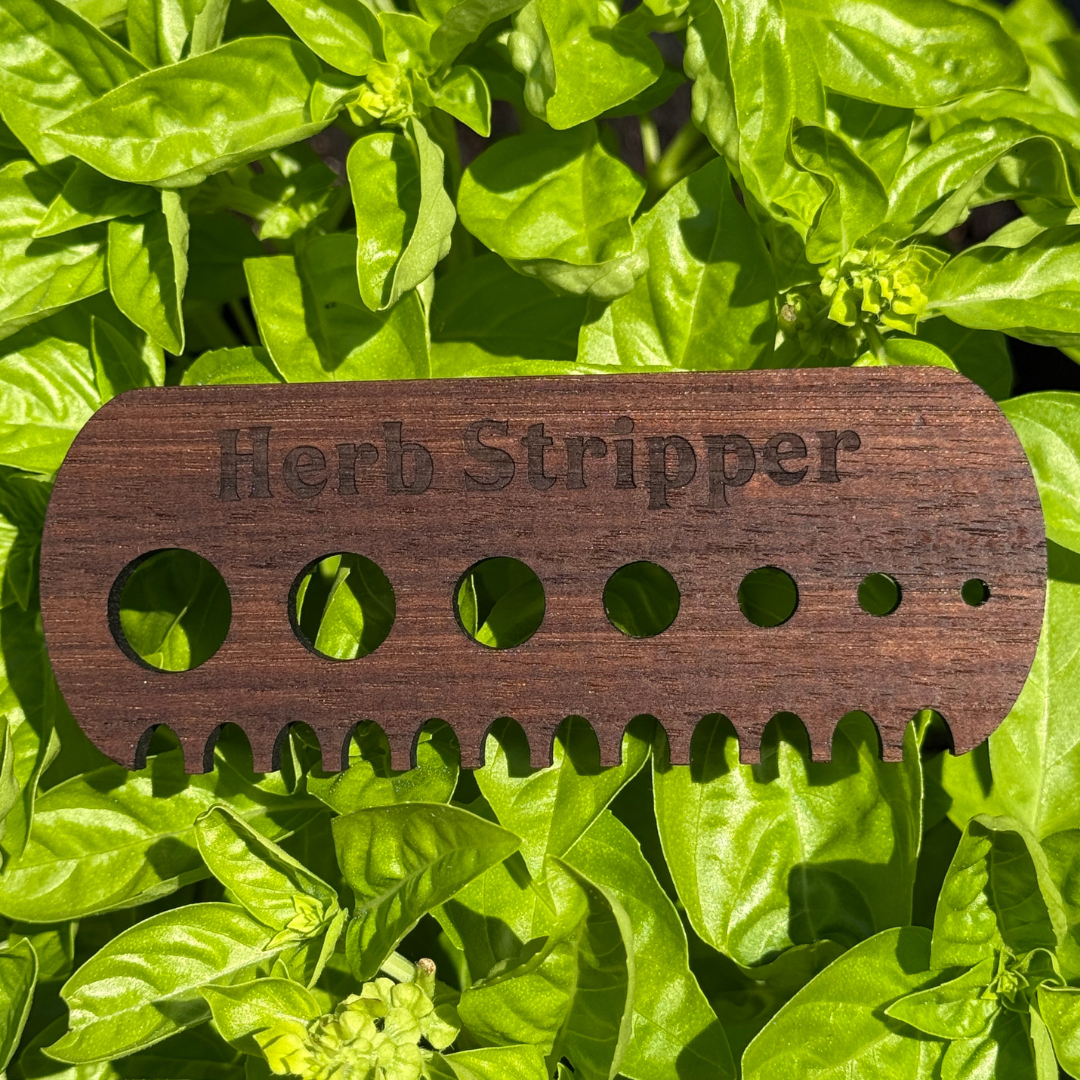 Walnut Wood Herb Stripper – 7 Hole Hardwood Kitchen Tool