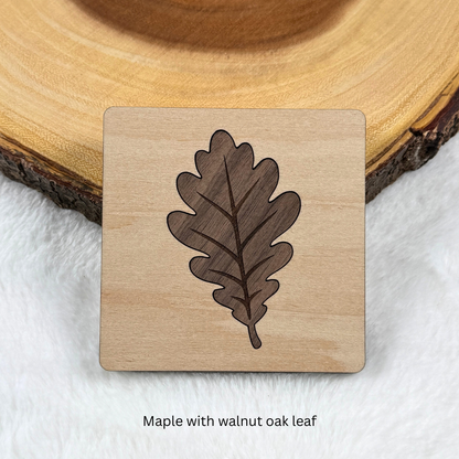 Square maple wood coaster featuring a dark walnut oak leaf inlay with engraved leaf veins.