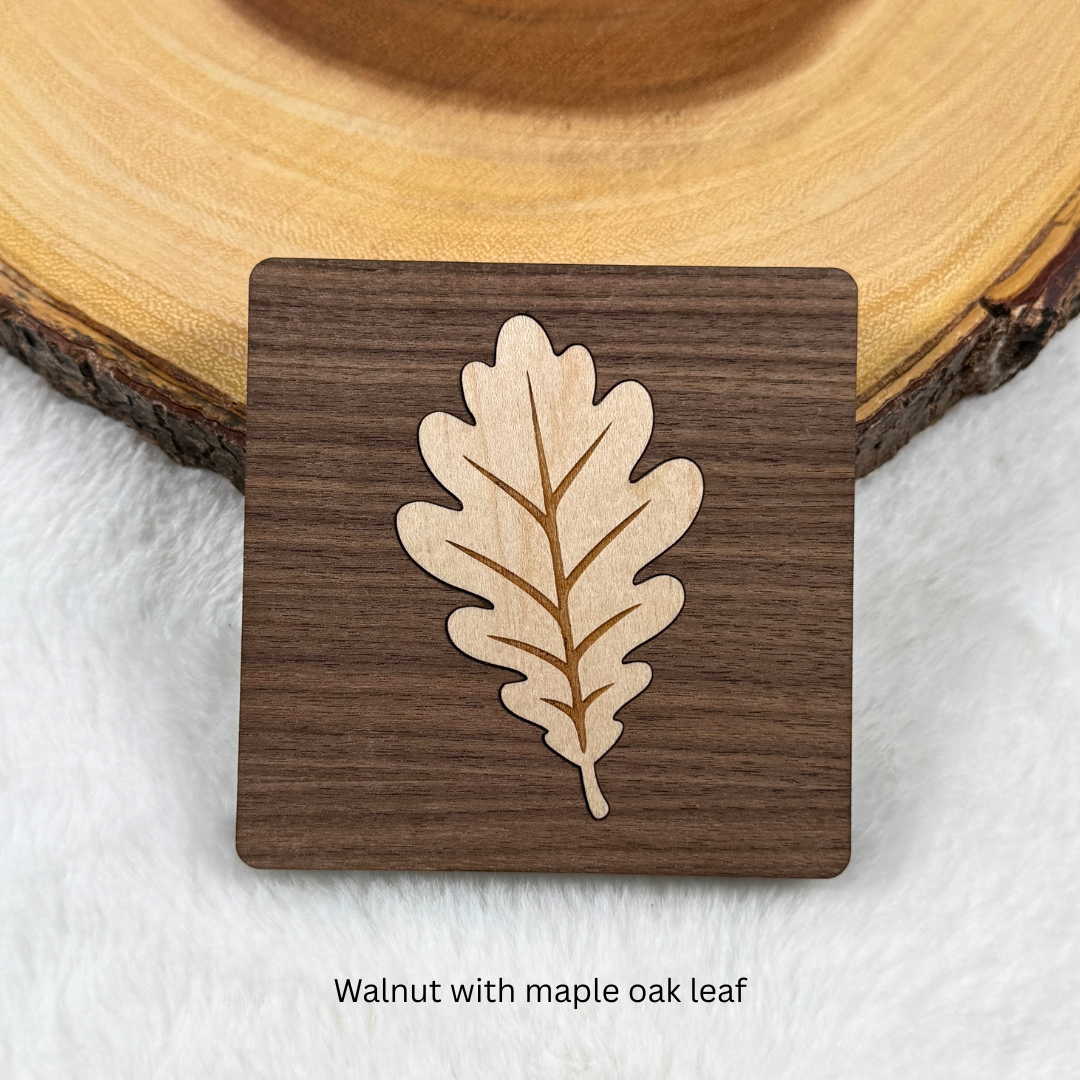 Square walnut wood coaster featuring a light maple oak leaf inlay with engraved leaf veins.