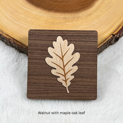 Square walnut wood coaster featuring a light maple oak leaf inlay with engraved leaf veins.