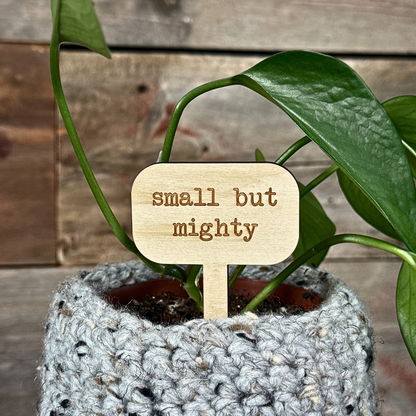 Wooden plant marker inside a houseplant.