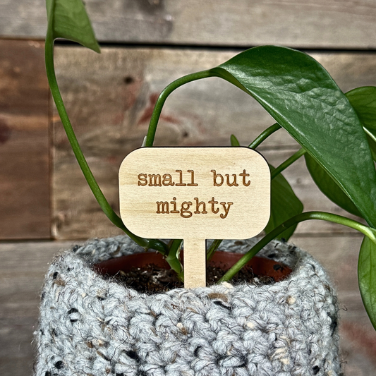 Wooden plant marker inside a houseplant.