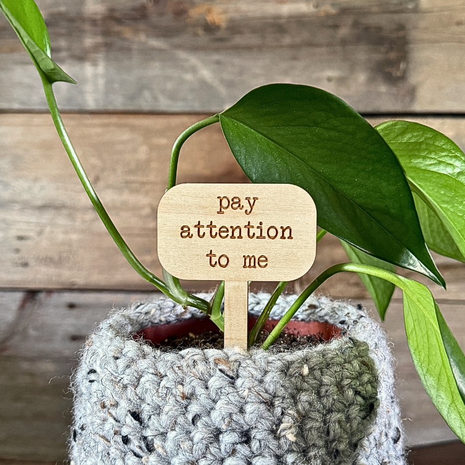 Potted plant with a wooden tag sign that says 'pay attention to me' with a wooden background. Funny palnt stake.