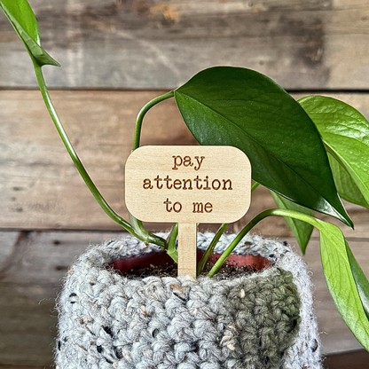 Potted plant with a wooden tag sign that says 'pay attention to me' with a wooden background. Funny palnt stake.