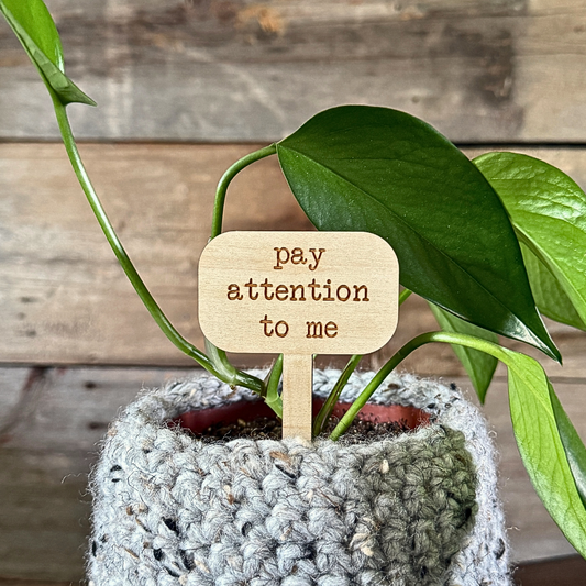 Potted plant with a wooden tag sign that says 'pay attention to me' with a wooden background. Funny palnt stake.