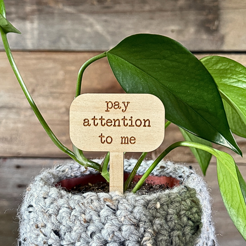 Wooden plant marker that says 'pay attention to me' on a wooden background