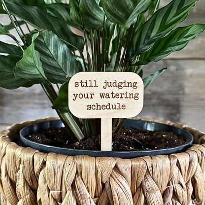 Plant stake with a humorous sign about judging watering schedule against a wooden background