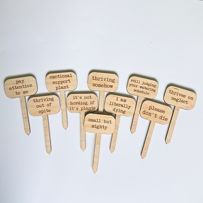 Collection of funny engraved wooden plant stakes featuring humorous sayings for indoor plants and houseplant decor.