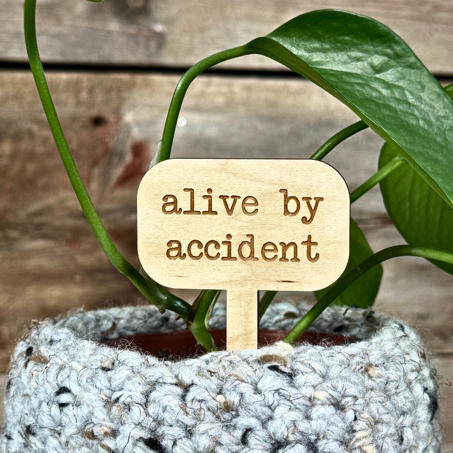 Potted plant with a wooden tag reading 'alive by accident' against a wooden background