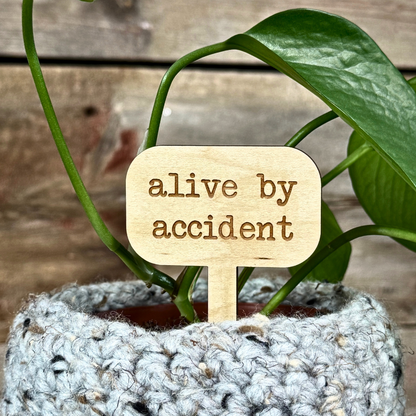 Potted plant with a wooden tag reading 'alive by accident' against a wooden background