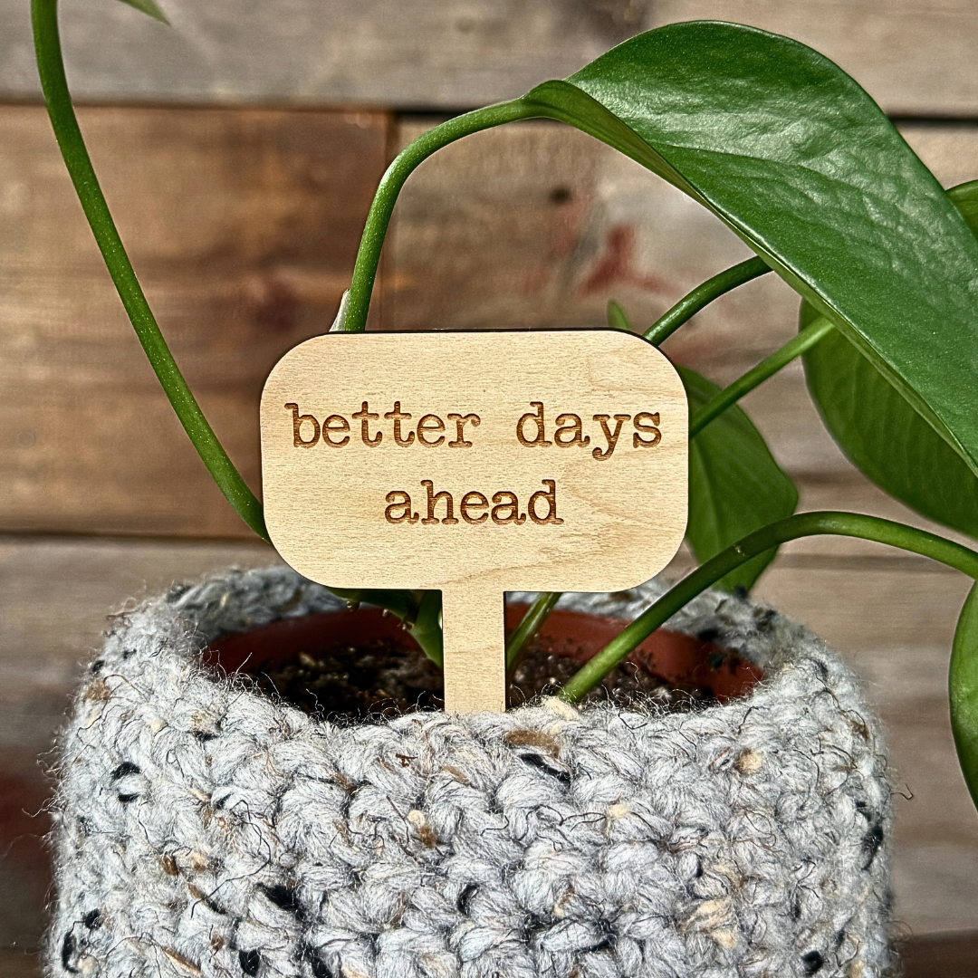 Potted plant with a wooden plant marker that says 'better days ahead' against a wooden background