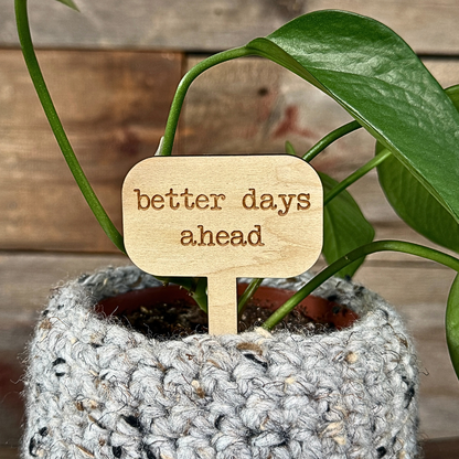 Potted plant with a wooden plant marker that says 'better days ahead' against a wooden background