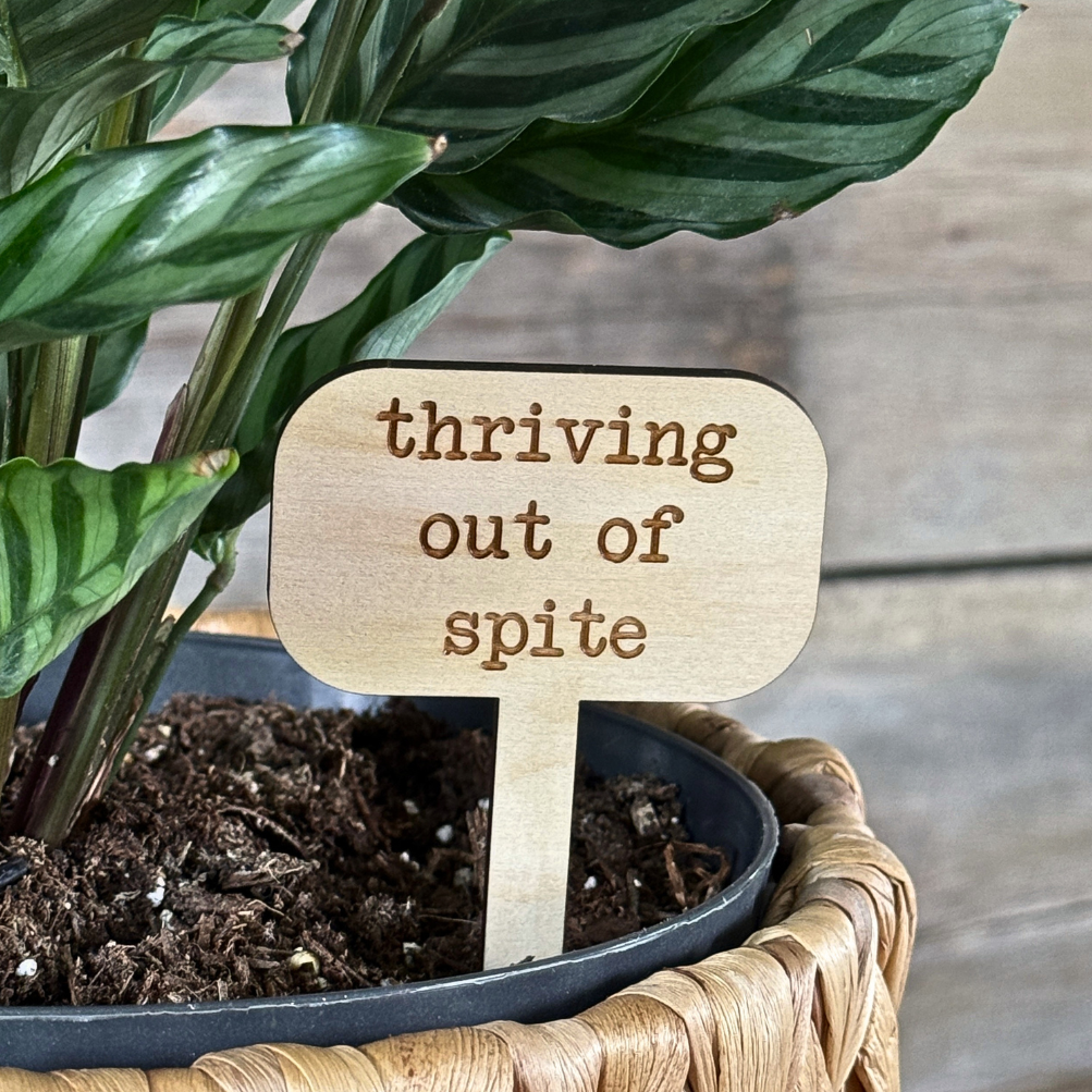 Wooden plant marker with the saying "thriving out of spite" in a potted houseplant.
