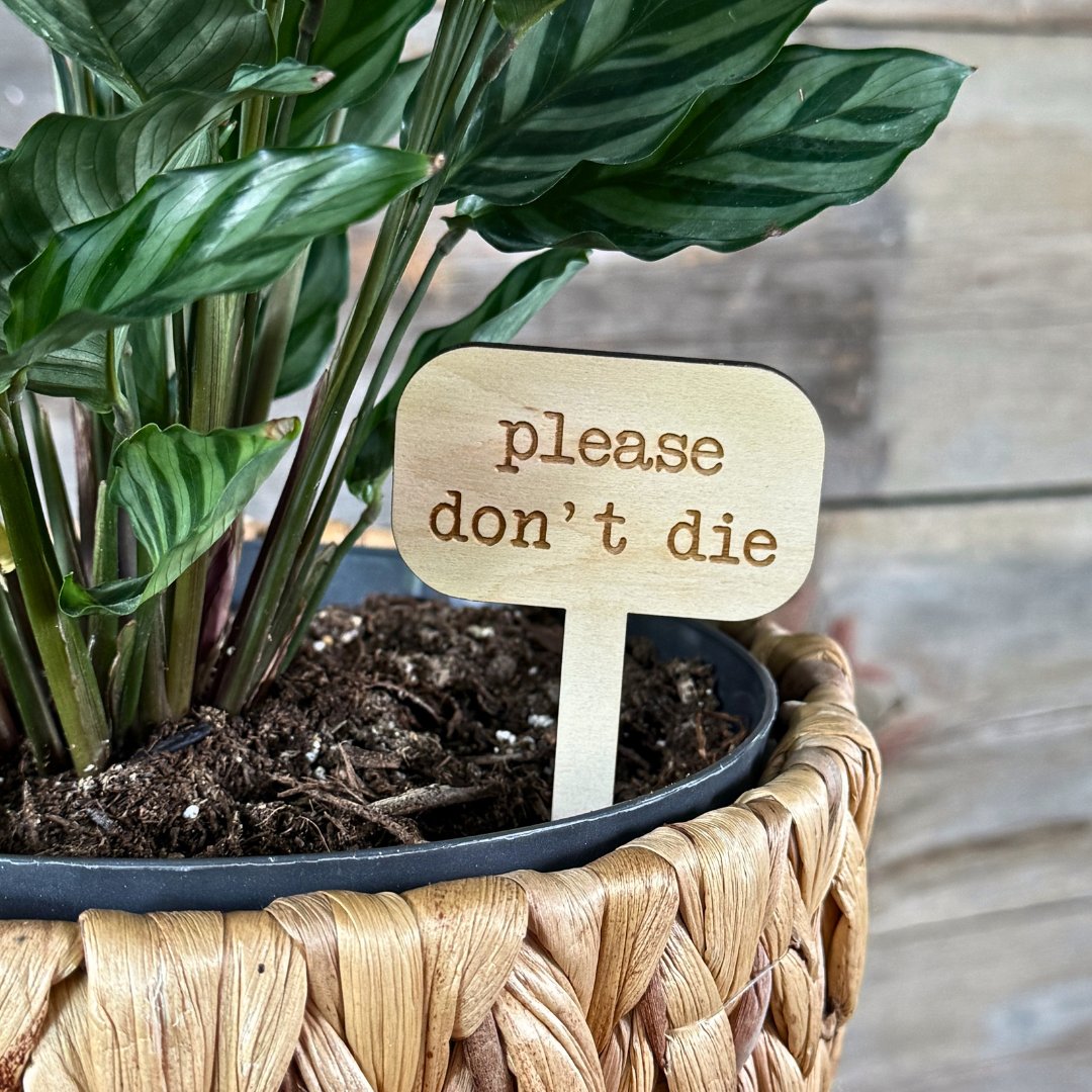 Wood plant sign for indoor plants in a potted plant.