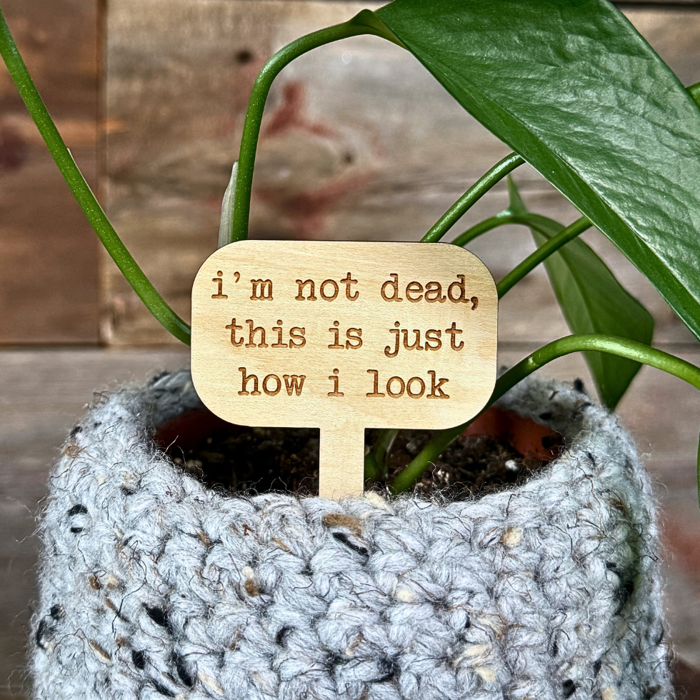 Plant stake in a houseplant with the saying 'i'm not dead, this is just how i look' against a wooden background.
