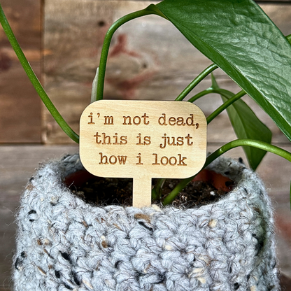 Plant stake in a houseplant with the saying 'i'm not dead, this is just how i look' against a wooden background.