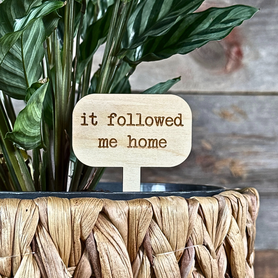 Potted plant with a wooden plant label that says 'it followed me home' against a wooden background