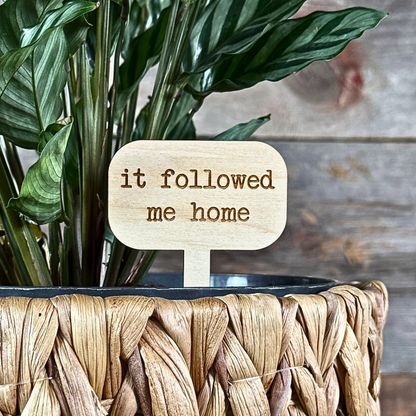 Potted plant with a wooden plant label that says 'it followed me home' against a wooden background