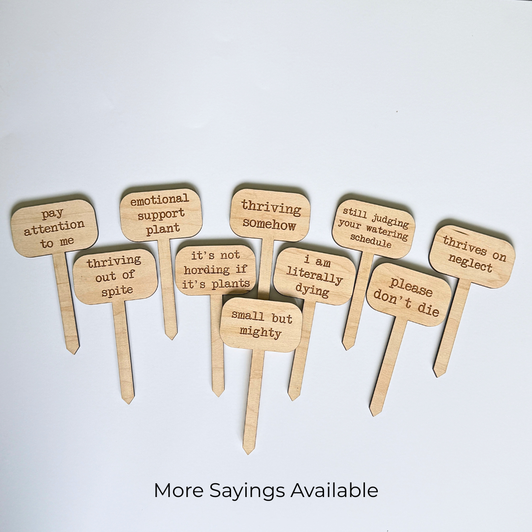 Different wooden plant stakes with humorous sayings on a light gray background