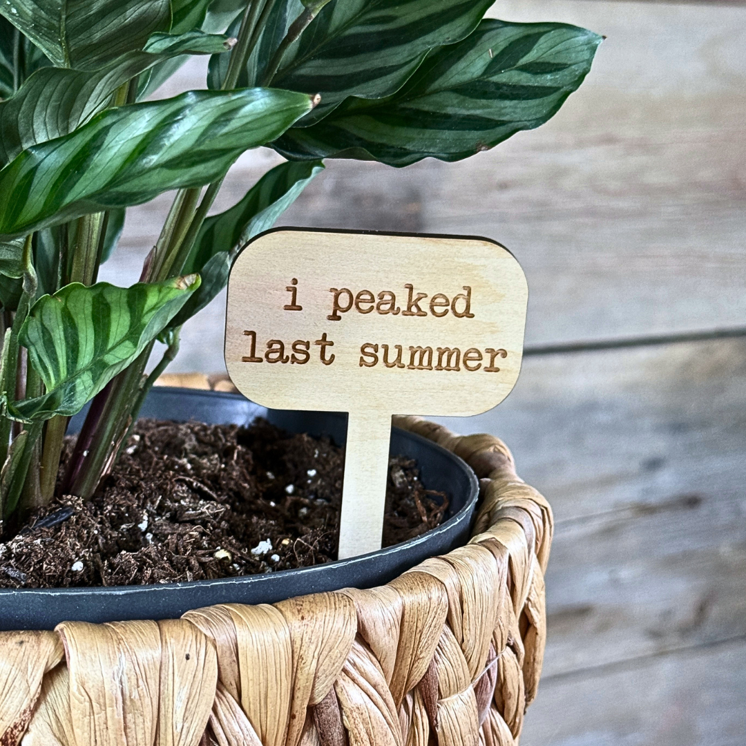 Potted plant with a wooden sign reading 'i peaked last summer' 