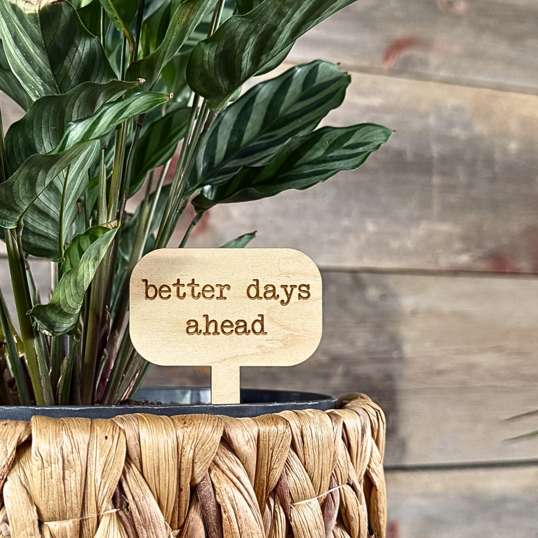 Wooden plant stake inside a houseplant that says 'better days ahead' against a wooden background