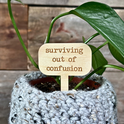 Wooden plant sign with a funny saying "surviving out of confusion". Placed inside a houseplant.
