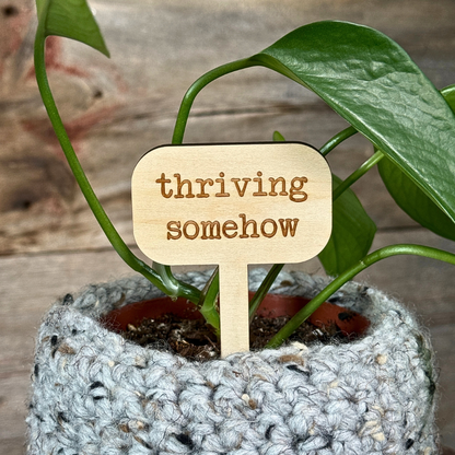 Wooden plant sign with the saying "thriving somehow". Funny plant stake inside a houseplant for decor.