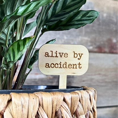 Potted plant with a wooden sign that reads 'alive by accident' on a blurred background