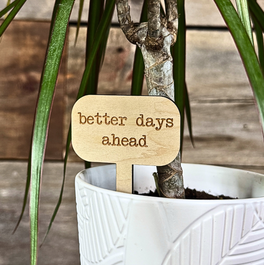 Plant marker sign in a houseplant pot reading 'better days ahead' against a wooden background