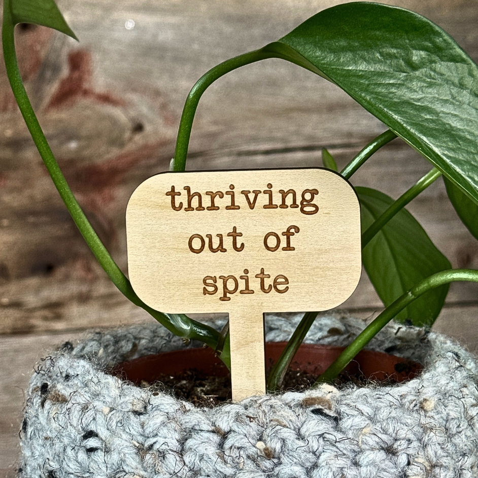Wooden plant stake with the saying "thriving out of spite" in a potted houseplant.