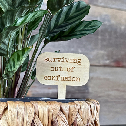 Wooden plant stake with a funny saying "surviving out of confusion". Placed inside a houseplant.
