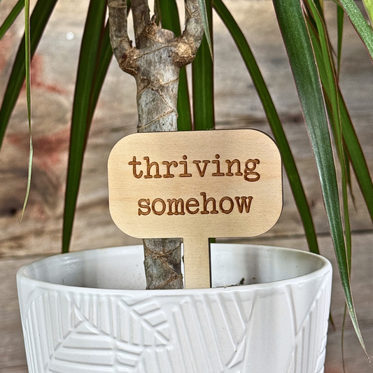 Wooden plant sign with the saying "thriving somehow". Funny plant marker inside a houseplant for decor.