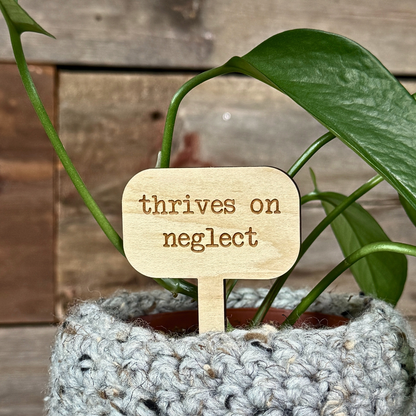 Potted plant with a wooden plant marker that says 'thrives on neglect' against a wooden background.
