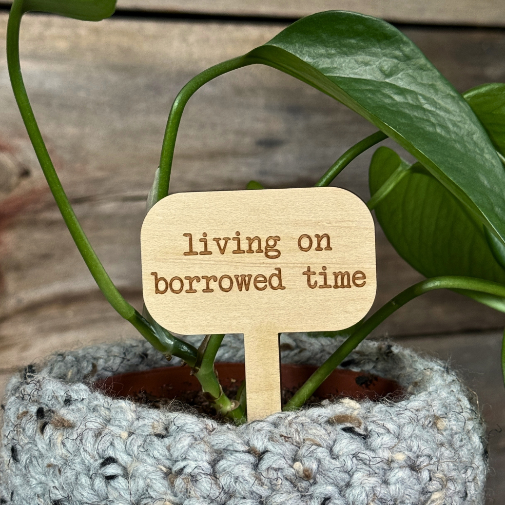 Wooden plant stake reading 'living on borrowed time' against a wooden background