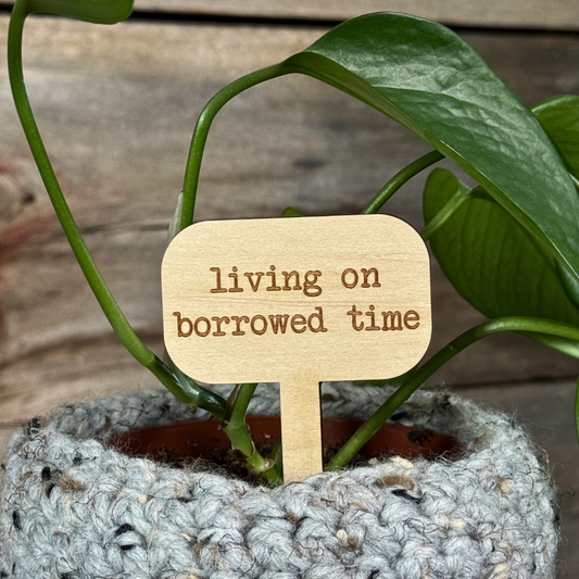 Wooden plant stake reading 'living on borrowed time' against a wooden background