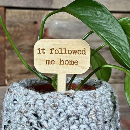 Potted plant with a wooden plant stake reading 'it followed me home' against a wooden background