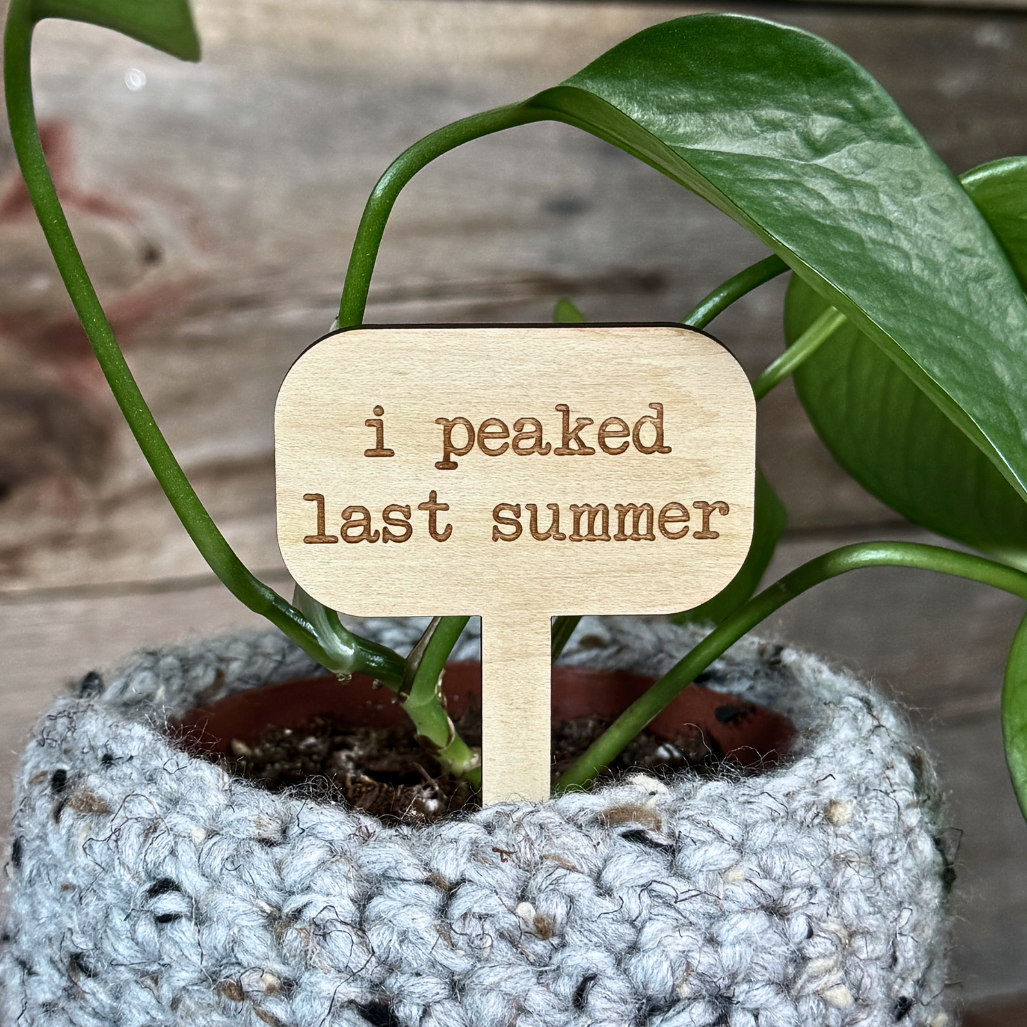 Potted plant with a wooden plant sign saying 'i peaked last summer' against a wooden background