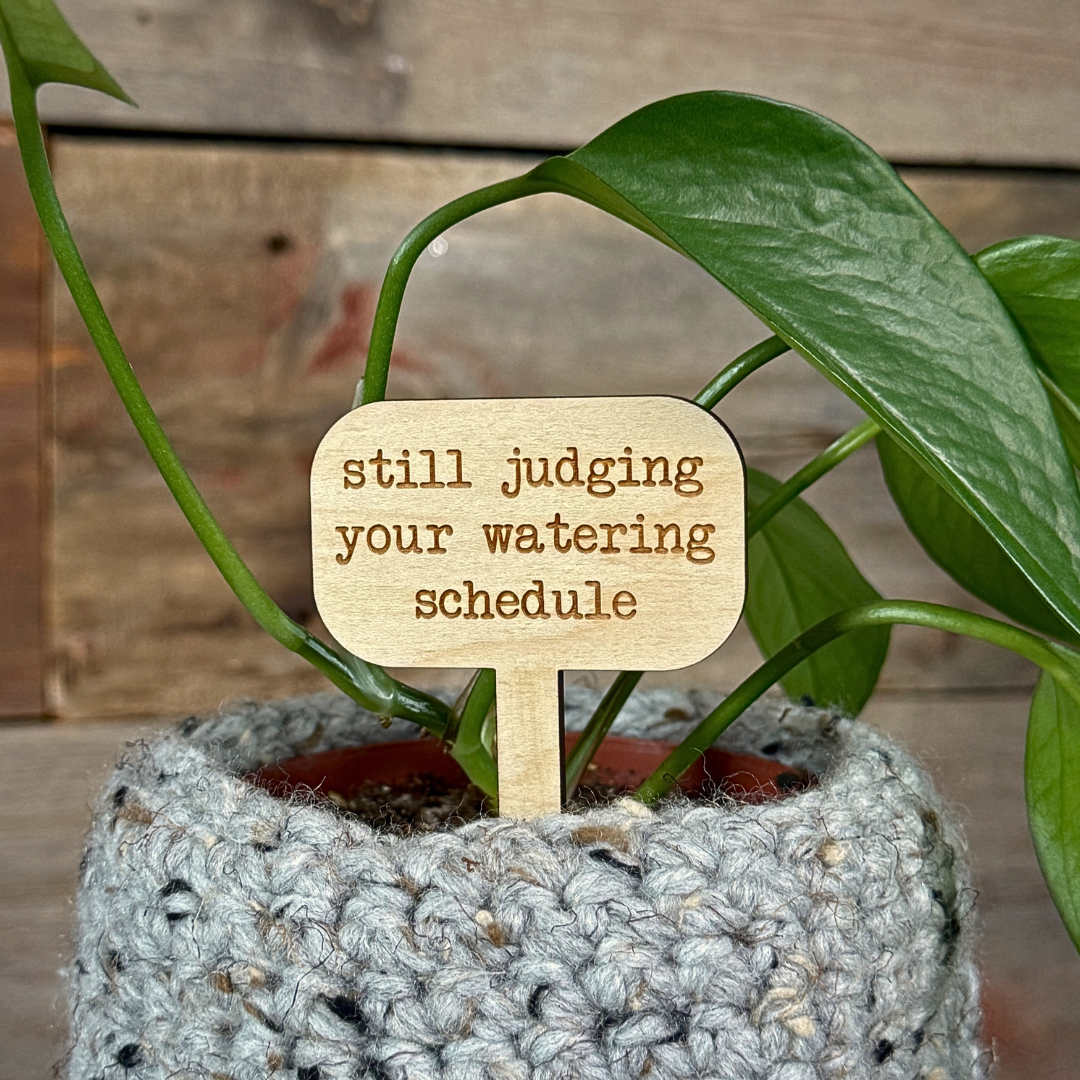 Wooden plant marker that reads 'still judging your watering schedule' against a wooden background.
