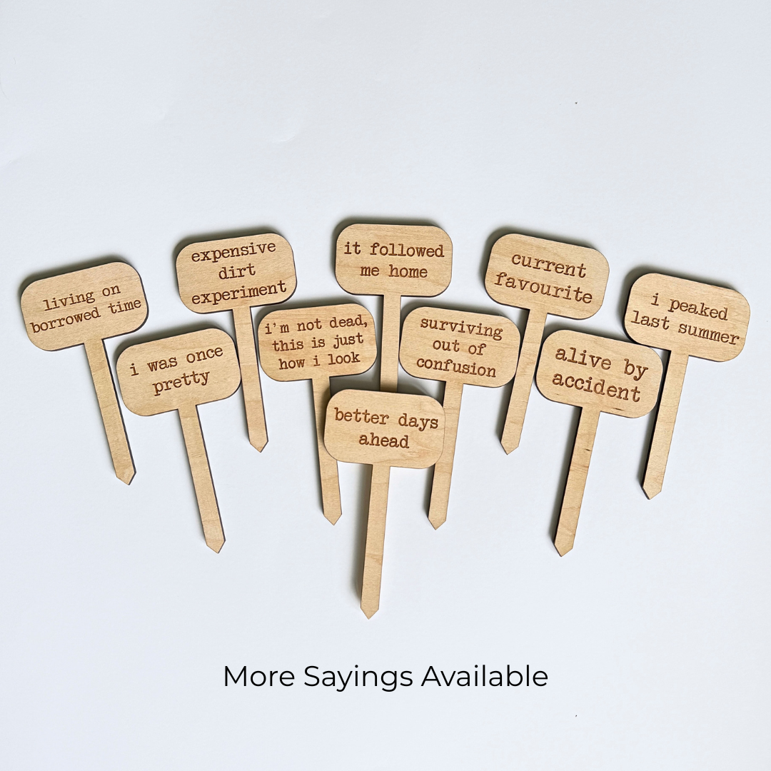 A variety of wooden plant markers with various sayings on a white background