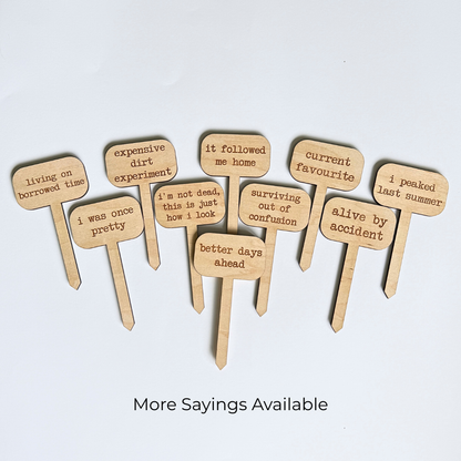 A variety of wooden plant markers with various sayings on a white background