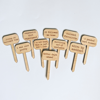 Assortment of engraved maple wood plant markers with funny plant lover sayings on a white background.