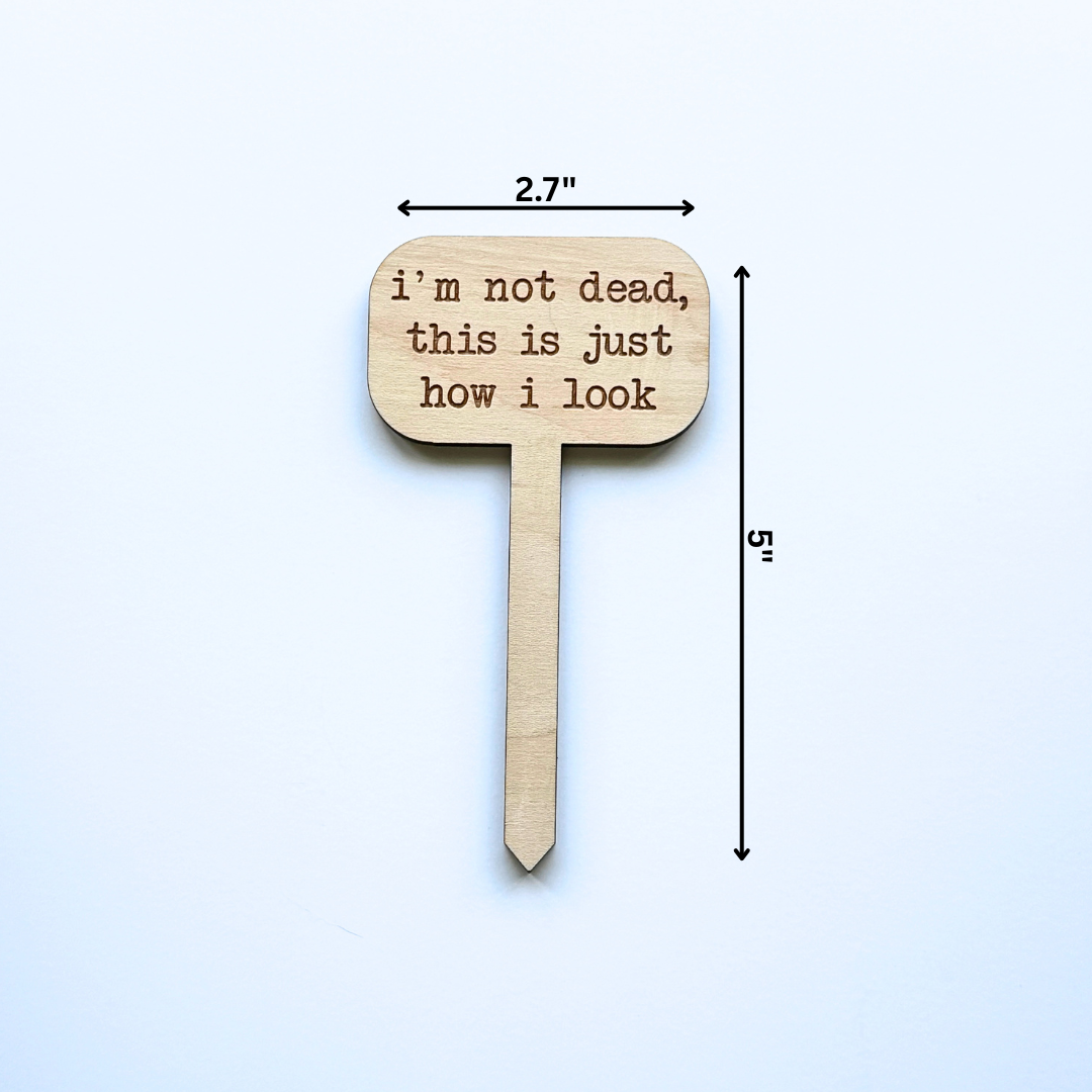 Wooden sign with text 'I'm not dead, this is just how I look' measuring 5 inches tall by 2.7 inches wide on a white background.