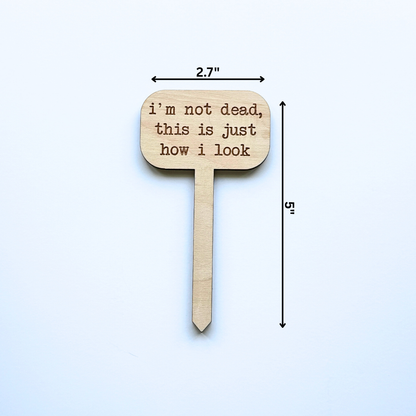 Wooden sign with text 'I'm not dead, this is just how I look' measuring 5 inches tall by 2.7 inches wide on a white background.